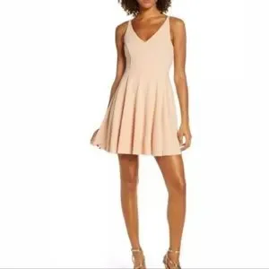 Lulus Dresses Nwt Darling Delight Blush Skater Dress Poshmark